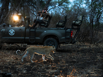 Shenton Safaris: Game Drives