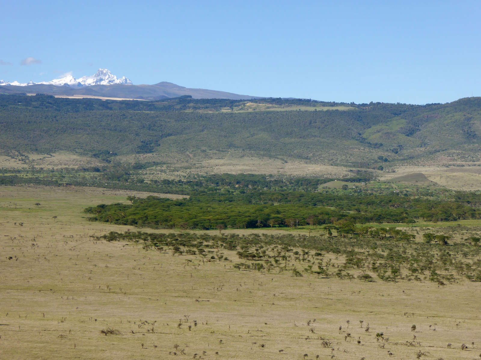 Sirikoi Lodge Sirikoi Lodge: Mount Kenya