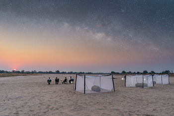 Time + Tide South Luangwa Time + Tide South Luangwa: Sleep-Out