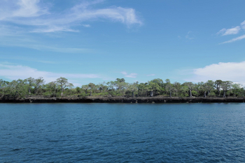 Alfajiri Villas Alfajiri Villas: Blick auf die Küste