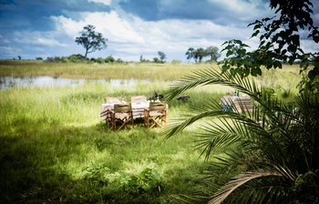 Duba Plains Camp: Bush Lunch