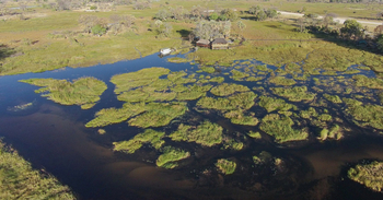 Gunn's Camp: Sumpf vor der Haustür