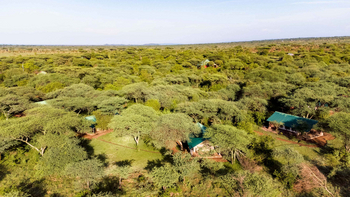 Ikoma Tented Camp: Grüne Dächer im morgendlichen Wald