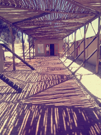 Kalahari Game Lodge Kalahari Game Lodge: Schattengang