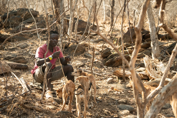 Kisima Ngeda Camp: Hadzabe-Jagd