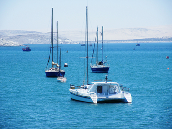 Lüderitz Nest Hotel: Katamarantouren
