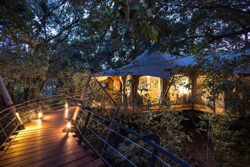 Mara Toto Tree Camp