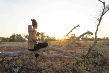 Singita Sweni Lodge: Gast mit Yogamatte blickt über goldene Savanne
