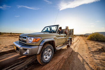 Canyon Village: Scenic Drive