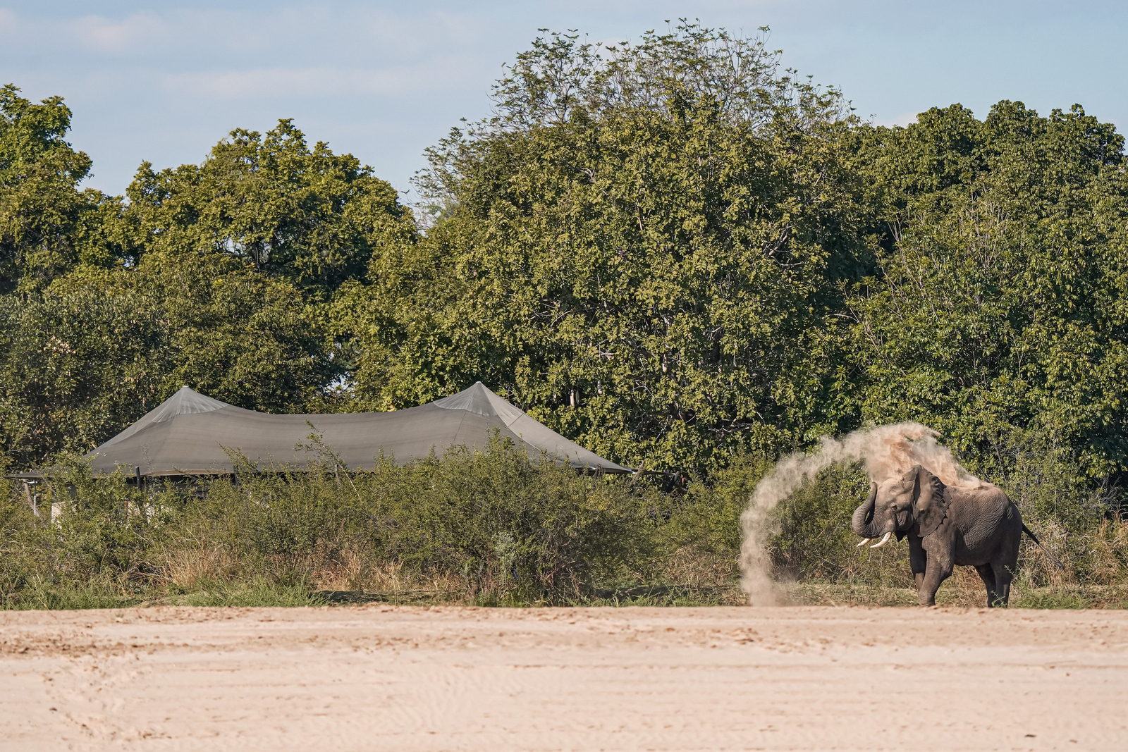 Chikunto Safari Lodge Chikunto Safari Lodge: Staubbad