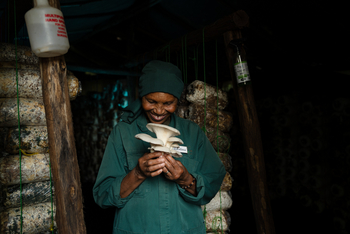 Gibb's Farm: Mitarbeiterin mit Pilz