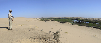 Hoanib Skeleton Coast Camp: Ausblick auf die Wüstenoase in Hoanib