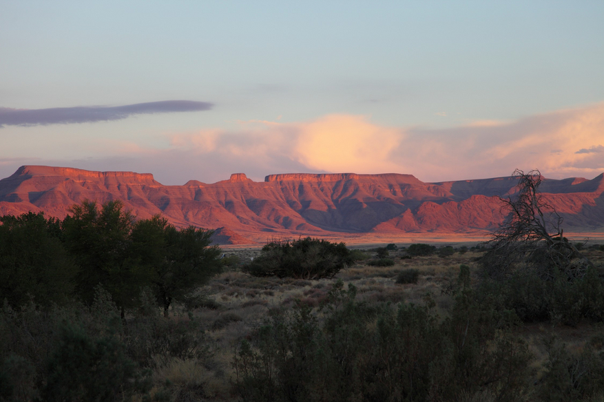 Hoodia Desert Lodge