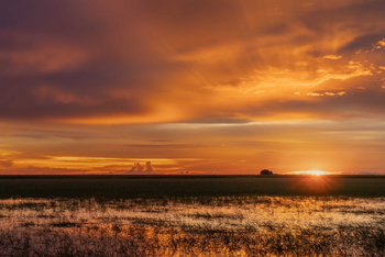 King Lewanika Lodge: Sonnenuntergang