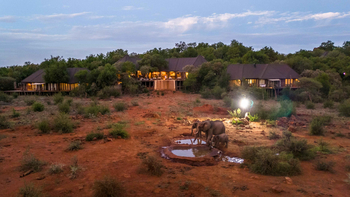 Madikwe Hills Private Game Lodge: Elefanten am Wasserloch