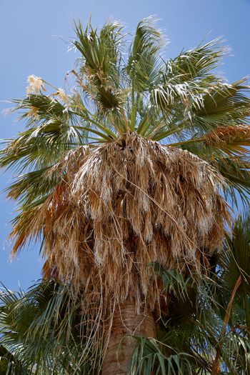 Nooishof: Haus und Hof