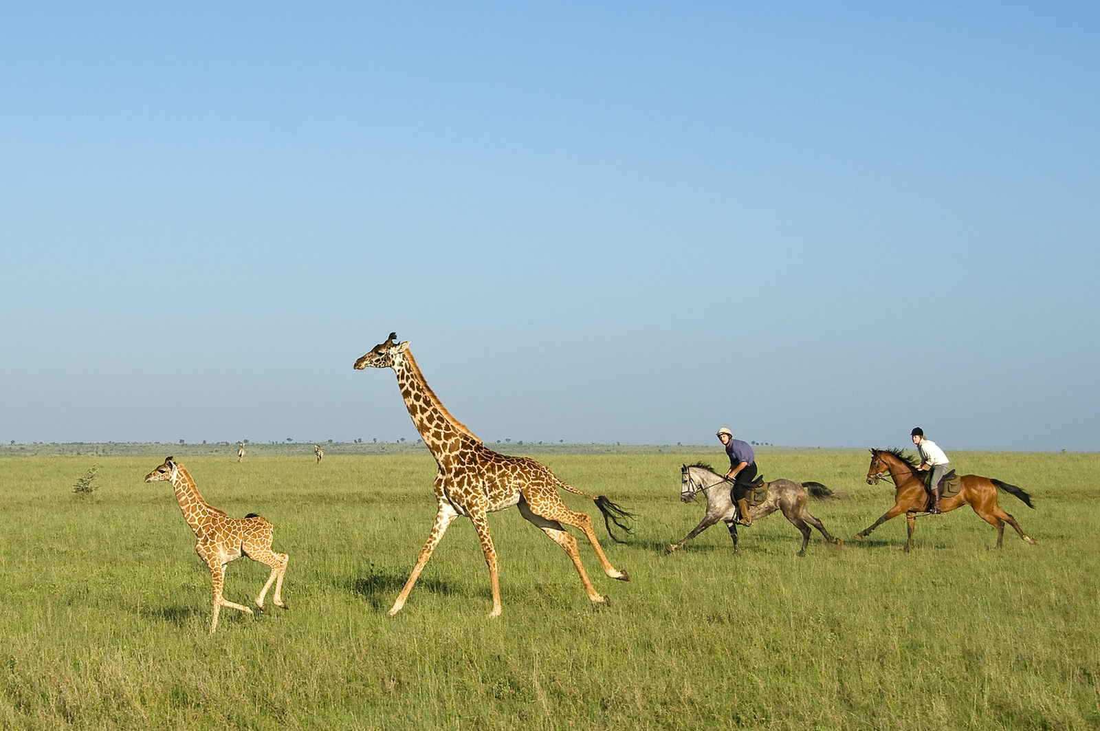 Ol Donyo Lodge Ol Donyo Lodge: Wettlauf gegen die Pferde