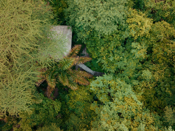 Rhino River Camp: Blätterdach