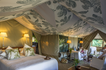 Richard's River Camp: Family Tent