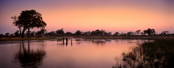 Selinda Explorers Camp Selinda Explorers Camp: Sonnenuntergang