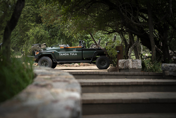 Tanda Tula Safari Camp: Game Drive