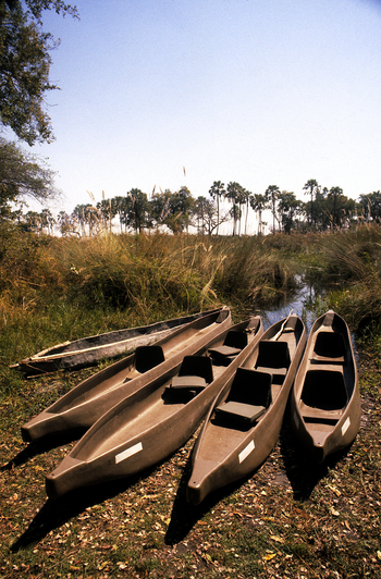 andBeyond Sandibe Okavango Safari Lodge: Mekoro