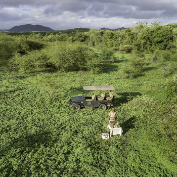 Aramness Aramness: Take a Walk on the Wild Side