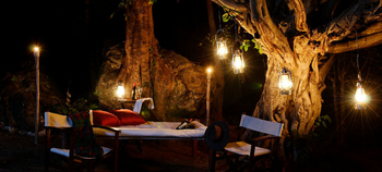 Bagh Tola Kanha: Laternen