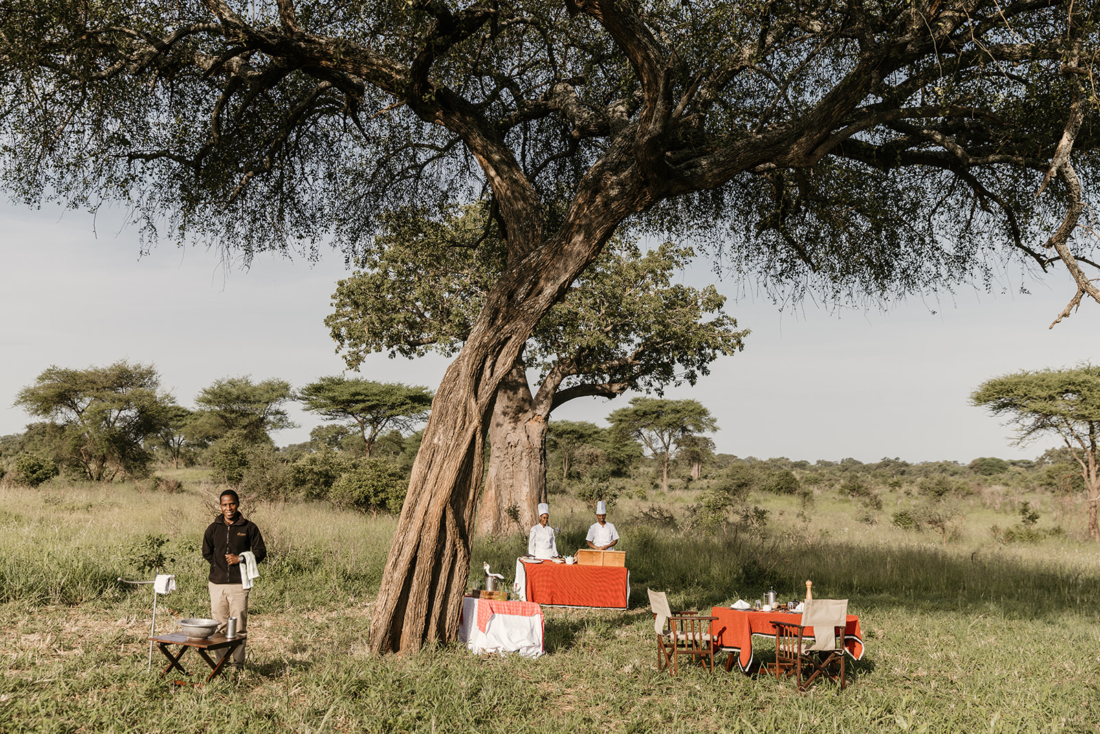 Elewana Tarangire Treetops Elewana Tarangire Treetops: Buschfrühstück