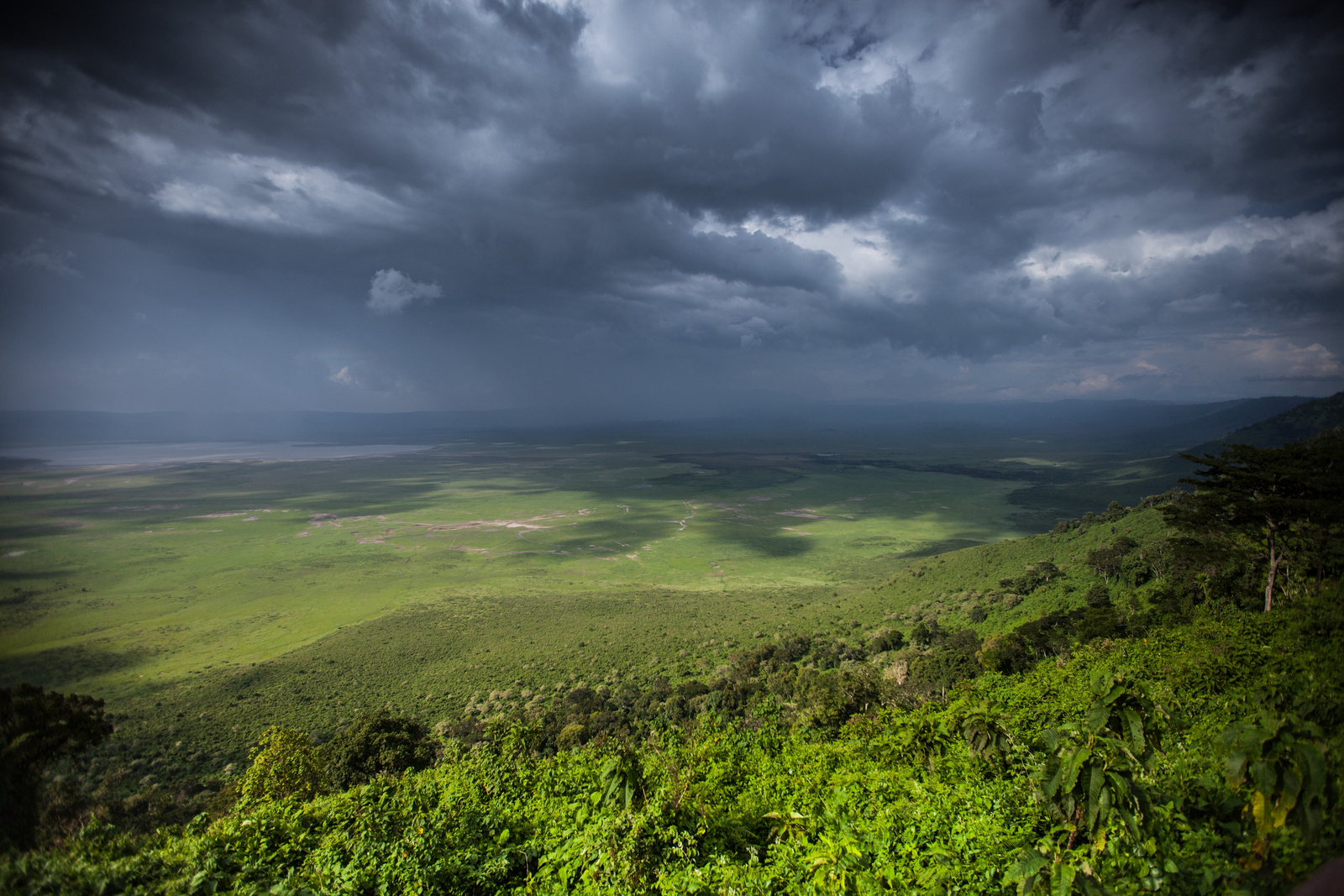 Elewana The Manor at Ngorongoro Elewana The Manor at Ngorongoro: .
