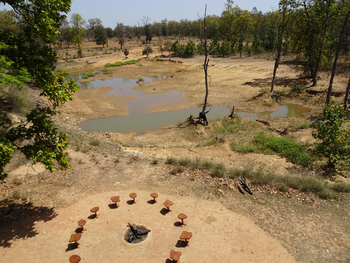 Emerald Tiger Retreat: Feuerplatz am Wasserloch