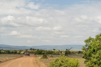 Encounter Mara Camp: Game Drive