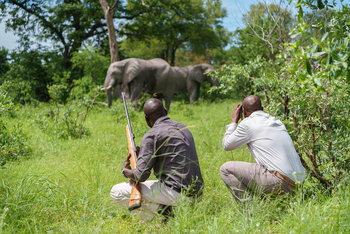 Karangoma Camp: Walking Safari