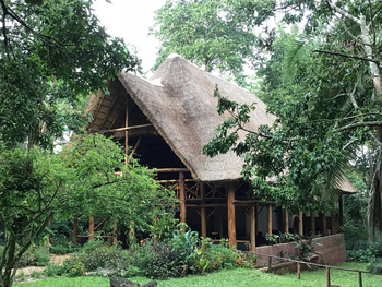 Kibale Forest Camp: Reetdach des Hauptgebäudes