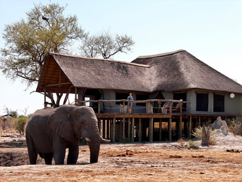 Motswiri Hideaway: Elefantenbulle