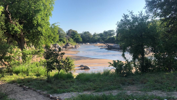 Mwagusi Safari Camp: Mwagusi River