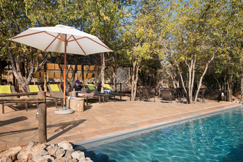 Ongava Tented Camp: Am Pool