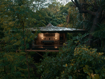 Rhino River Camp: Zelt unter Bäumen