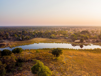 4 Rivers Camp 4 Rivers Camp: Luftbild - Savannen hinter dem Camp