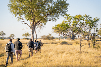 4 Rivers Camp 4 Rivers Camp: Walking Safari