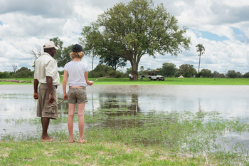 Davison's Camp: Wasser beobachten
