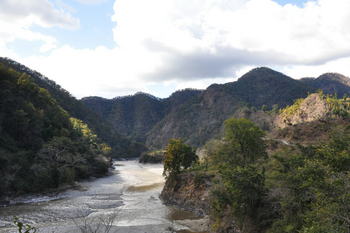 Jim's Jungle Retreat: Flusstal