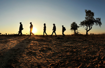 Lion Camp Lion Camp: Walking Safari