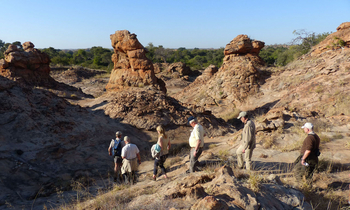 Tuli Safari Lodge Mashatu: Bush Walk