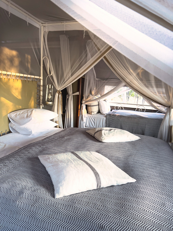 Mushara Bush Camp: Gästezelte