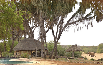 Saruni Rhino Camp: Unterkunft mit Blick auf Elefanten