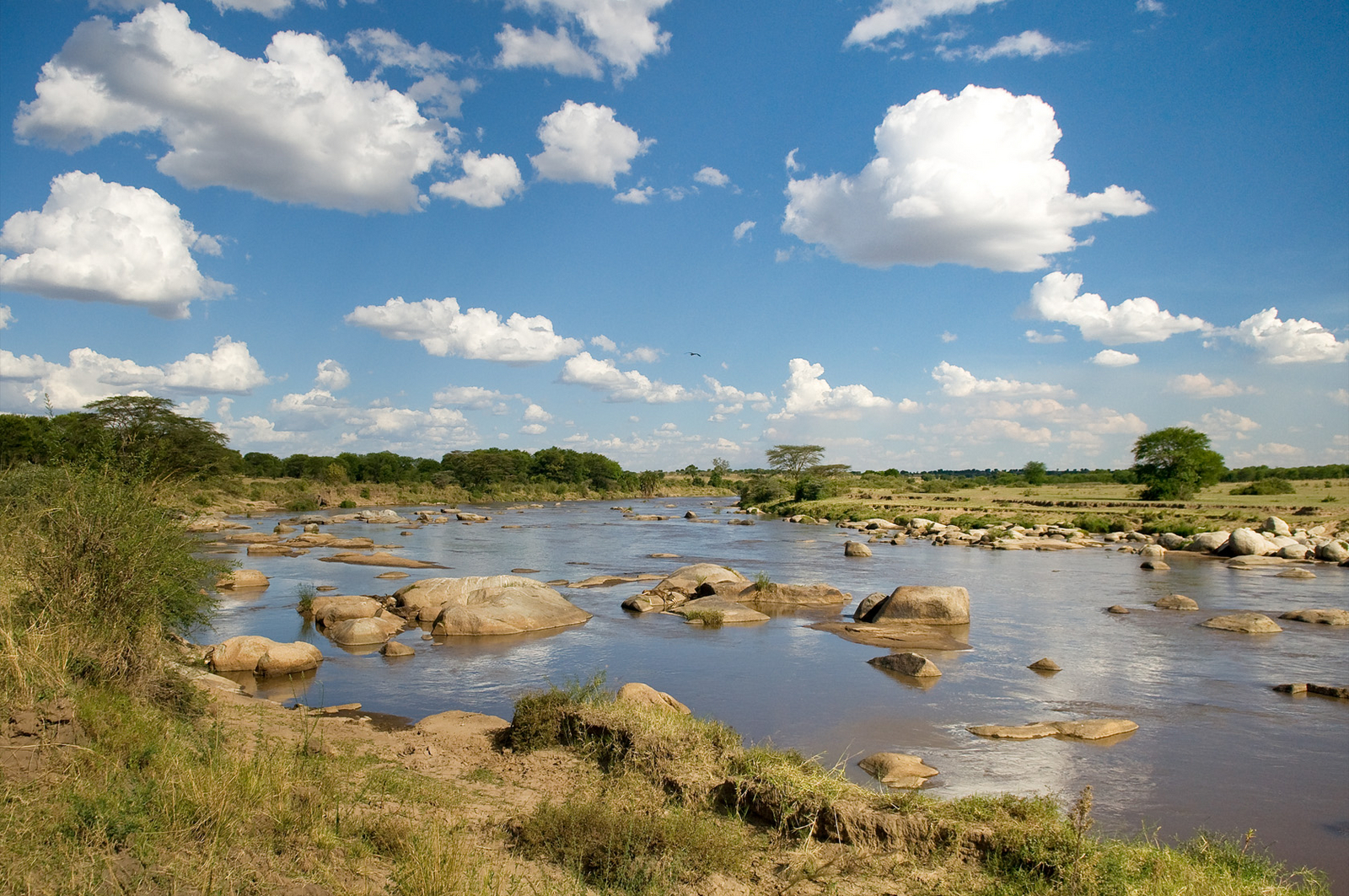 Sayari Camp Sayari Camp: Felsen im Fluss