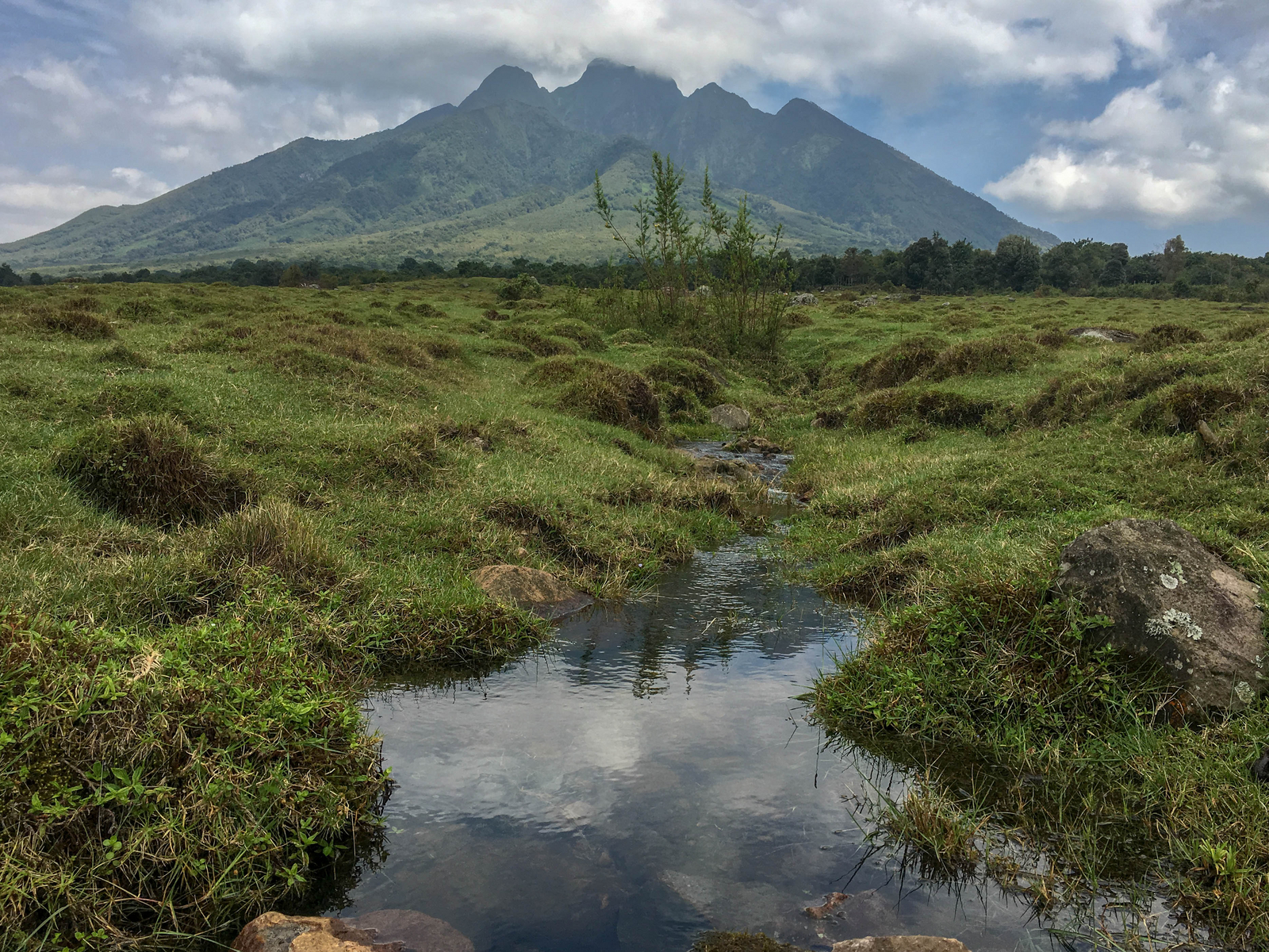 Singita Kwitonda Lodge Singita Kwitonda Lodge: Mount Sabyinyo