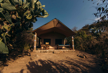 Tindiga Tented Camp: Veranda mit Holzstuhl und Pflanzen