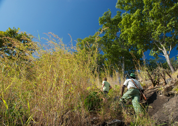 Tongole Wilderness Lodge: Wanderung